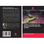 Efeitos antag�nicos da bacteriocina de bacillus subtilis