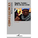 Egypte, tunisie : de la rue aux urnes