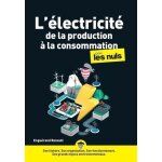 L'électricité de la production a la consommation pour les nuls L'électricité de la production a la consommation pour les nuls