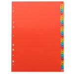 Ensemble d'intercalaires en pvc durable - 31 feuilles, 29, 8 x 21 cm, id�al pour organiser cahiers, dossiers, ...