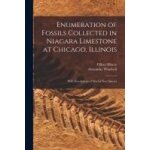 Enumeration of fossils collected in niagara limestone at chicago, illinois; with descriptions of several ...