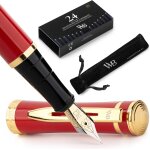 Ersan - kit stylo plume, plume dore moyenne 18 carats, comprend 24 cartouches d'encre, convertisseur ...
