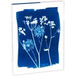 Ershi - 83507c - un set de correspondance 8 cartes 11x15, 5 cm assorties motifs floral / cyanotype et ...