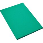 Ershi - canson iris vivaldi - paquet 50 feuilles de papier couleur a4 - 185g / m - vert sapin[297]