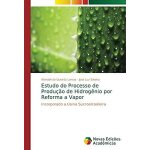 Estudo do processo de produ��o de hidrog�nio por reforma a vapor