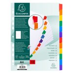 Exacompta lot de 3 jeux d'intercalaire 12 positions en carte blanche a4 170g onglets mylar