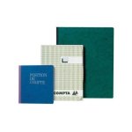 Exacompta 6300e piqure 25 / 32 30 colonnes 80 pages - coloris assortis