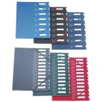 Extendos trieur 437, couleurs assorties, 12 onglets, format a4