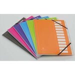 Extendos trieur avec elastique mon dossier en carte. 12 compartiments. coloris assortis.