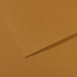 Feuille mi - teintes - 50x65cm - 160g - cachou