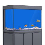 Fond carré pour aquarium, blanc, jaune, vert, bleu, noir, dégradé, impression simple, papier peint, décoration ... Fond carré pour aquarium, blanc, jaune, vert, bleu, noir, dégradé, impression simple, papier peint, décoration ...