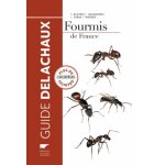 Fourmis de france, de belgique et du luxembourg
