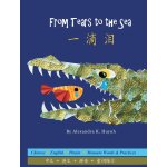 ��� from tears to the sea (a bilingual simplified chinese and english book with pinyin, award - winning ...