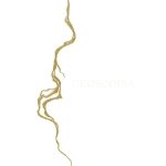 Geoscopia - charlotte charbonnel
