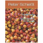 Ger - coreldraw x3 - schulungsbu