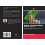 Gest�o eficaz dos activos fixos tang�veis