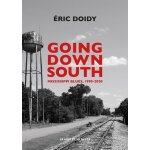 Going down south - mississippi blues, 1990 - 2020