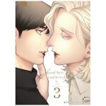 Goodbye, red beryl - tome 3