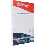 Hamiltion - 86600070 lot de 100 feuilles de papier blanc a4 80 g convient pour imprimantes, jet d'encre, ...