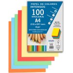 Hamiltion - papier a4 color de 80 g couleurs intenses assorties - 100 feuilles 30170