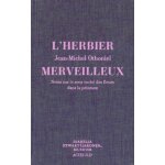 L'herbier merveilleux - notes sur le sens cach des fleurs dans la peinture