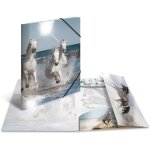 Herma chemise a elastiques chevaux , pp glossy, a4 Herma chemise a elastiques chevaux , pp glossy, a4