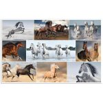 Herma sous - main soft touch 550 x 350 mm chevaux