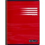 Kalanka - 360c un cahier a spirale (une marque de clairefontaine) - 24x32 cm - 180 pages grands carreaux ...