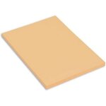 Kalanka - miteintes papier a dessin a4 160g / m grain nid d'abeille 2 1 x 29, 7 cm ivoire lot de 50 Kalanka - miteintes papier a dessin a4 160g / m grain nid d'abeille 2 1 x 29, 7 cm ivoire lot de 50
