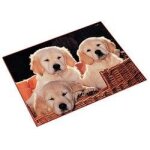 Laufer sous - main chiens, 400 mm x 530 mm, sous - main en