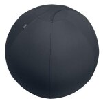Leitz active sitzball 65cm ballon d'exercice gris pleine taille