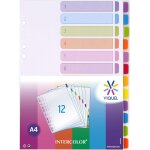 Lot de 12 intercalaires a4 intercolor - intercalaires en plastique pour classeur a4 - onglets color��s ...