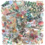 Lot de 170 autocollants dcoratifs transparents en pet pour album de collection de fleurs, 9 plantes ...