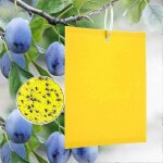 Lot de 20 bouchons jaunes anti - mouches pour le jardinage et la protection des plantes