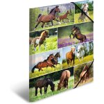 Lot de 3 chemises format a3 animal worlds horse meadow en carton pour enfants avec impression int��rieure ...