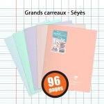 Lot de 5 cahiers - 24x32(cm) - grands carreaux - 96 pages - couverture en polypro - sans spirale - clairefonta ...