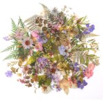 Mevronisshop - 160pcs naturels autocollants set, floraux et plante stickers, divers autocollants botaniques ...