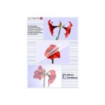 Olympia 1x50 din a3 125 micron pochette plastique 50 pi�ces