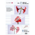 Olympia 9186 pochette plastique 25 pi�ces