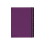 Pagna office trend trieur 12 compartiments 12 positions 20 mm a4 a onglets violet