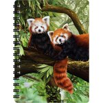 Pandas roux de deluxebase. carnet a spirale a6 art lenticulaire 3d jungle pages vierges en papier recycl. ...