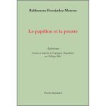 Le papillon et la poutre