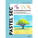 Pastel sec - la méthode spécial débutant avec 10 exercices pour enfin se lancer ! Pastel sec - la méthode spécial débutant avec 10 exercices pour enfin se lancer !