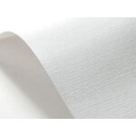 Patq - 20x carton gaufré blanc effet toile a4 210x 297 mm 246 g / m carton texturé papier gaufré texturé ... Patq - 20x carton gaufré blanc effet toile a4 210x 297 mm 246 g / m carton texturé papier gaufré texturé ...