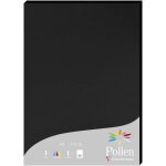 Patq - 24298c - tui de 25 feuilles - format a4 (21x29, 7cm) - 210g / m2 - coloris noir - papier d'invitation ...