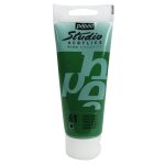P�b�o peinture studio acrylique tube terre vert 100 ml