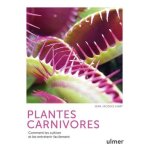 Plantes carnivores - comment les cultiver et les entretenir facilement