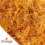 Plantes vertes artificielles, fausse passerelle, mousse de vie eternelle, d�cor de maison, salon, jardin, ...