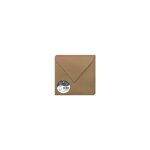 Pollen paquet de 20 enveloppes pollen 16, 5 x 16, 5 cm 135 g kraft brun