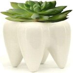 Pot en c�ramique en forme de dent pour ranger stylos, pinceaux, brosses a dents ou comme pot de fleurs ...
